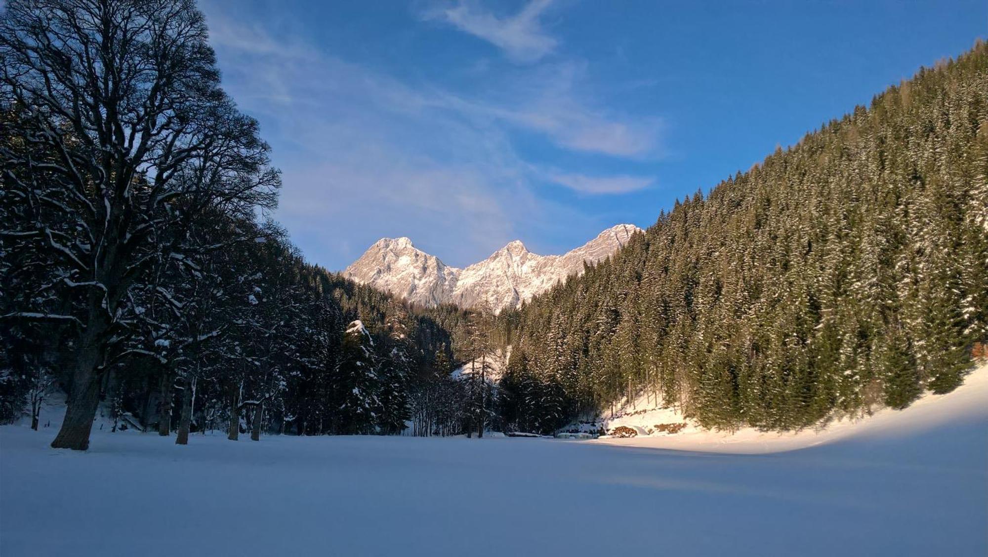 Alpenrose Boutique Chalet Gretl Рамзау-ам-Дахштайн Екстер'єр фото