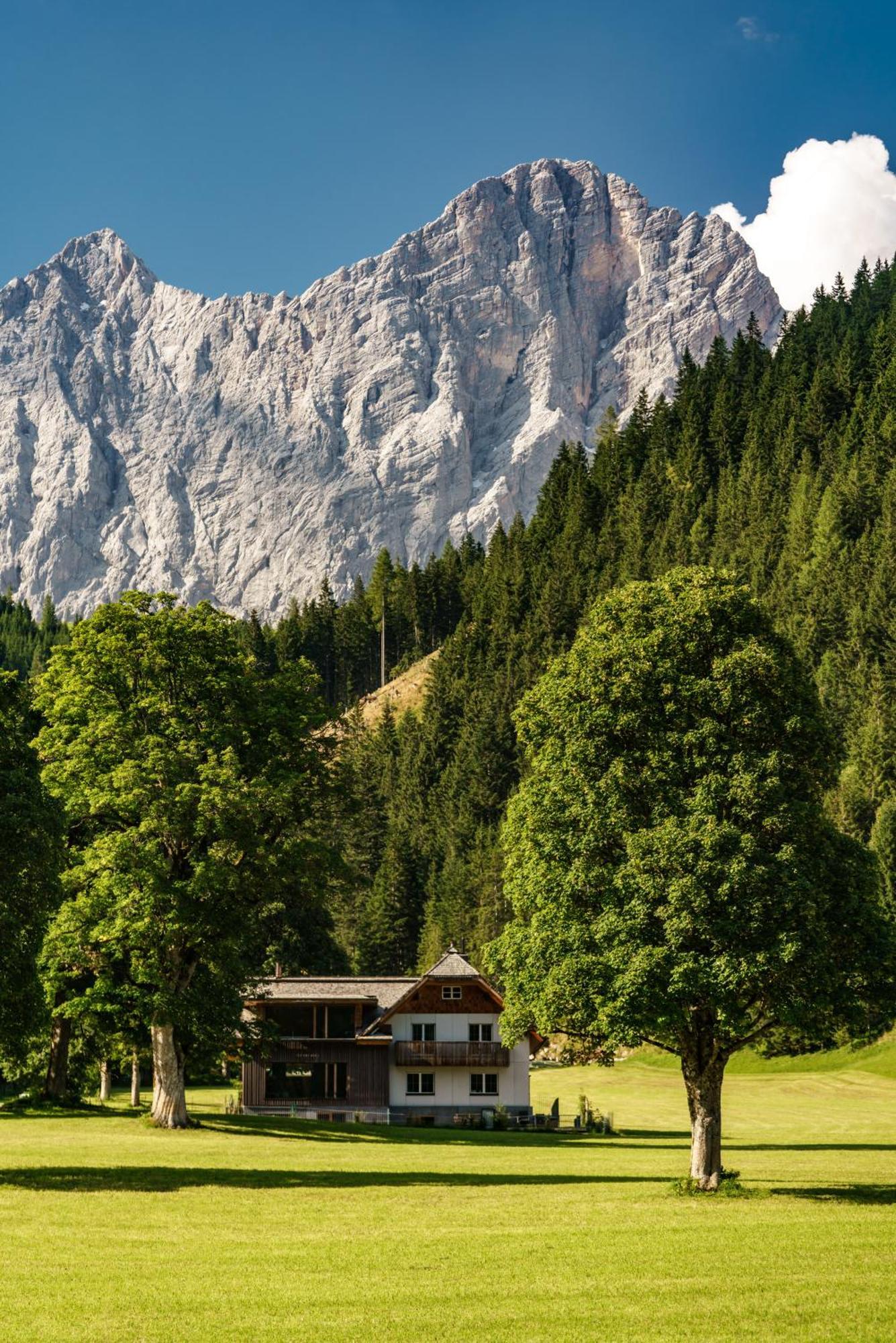 Alpenrose Boutique Chalet Gretl Рамзау-ам-Дахштайн Екстер'єр фото